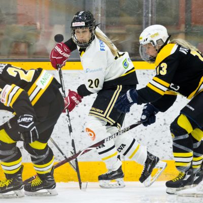 Ilves-kärpät