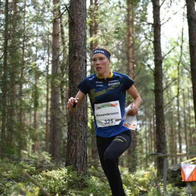 Tove Alexandersson, MM-kisat 2019