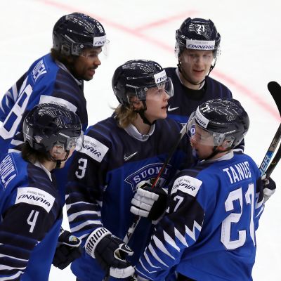 nuoret leijonat