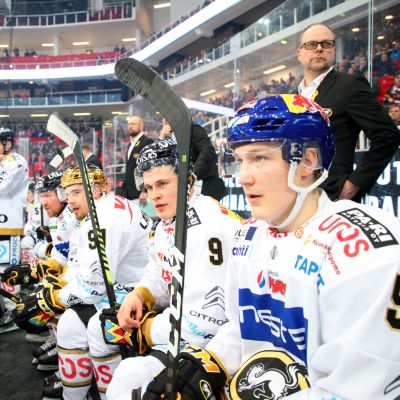 Kärpät