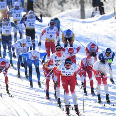 Falun WC