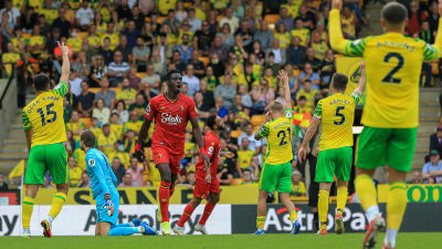 Norwich viftar för offside mot Watford.