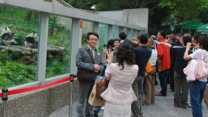 Ärkefienden Taiwan har tagit emot två pandor. Varje dag lockar de stora mängder besökare till djurparken i huvudstaden Taipei. Turister i djurparken i Taipei