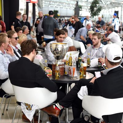Leijonat Bratislavan lentokentällä
