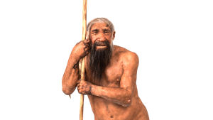 Neandertalarman, Homo neanderthalensis. Homo neanderthalensis