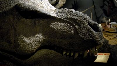 Tyrannosaurus Rex