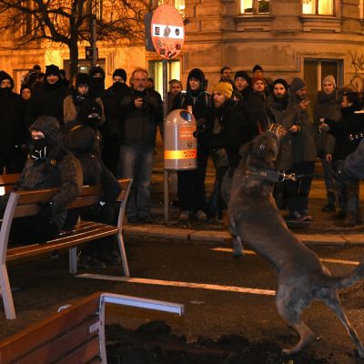 Protest mot  FÖP-balen i Wien.