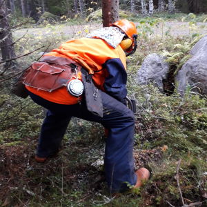 Huka dig som en gorilla när du ska såga. Huka dig som en gorilla när du ska såga.