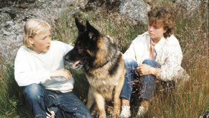 Susikoira Roi Paavo Westerberg (Tomi), poliisikoira Jami (Roi) ja Mia Ehrnrooth (Ritva).