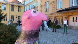 Kulturhuvudstadsåret hämtade Stefan Lindfors sälar till Åbos gatubild. Hejhylje-säl utanför Åbo stadshus.
