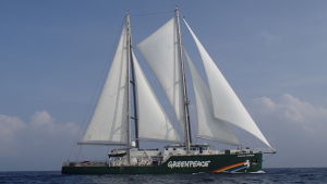 Rainbow Warrior. Karin Björk från Jakobstad arbetade som styrman på Rainbow Warrior