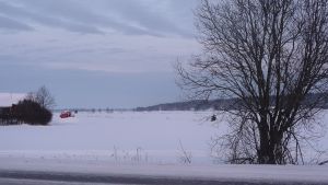 Snön skyddar effektivt åkrarna från att frysa och bilda tjäle. Vinterlandskap.