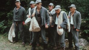 Jouko Turkan ohjaama tv-sarja "Seitsemän veljestä". Veljekset kuusikon suojassa: Taisto Reimaluoto (Timo), Martti Suosalo (Aapo), Kai Lehtinen (Juhani), Tero Jartti (Eero), Jari Pehkonen (Simeoni), Jarmo Mäkinen (Tuomas) ja Pertti Koivula (Lauri).