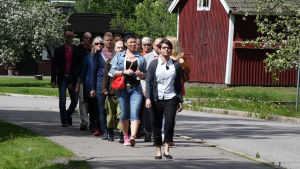Noora kävelee ja parvi seuraa
