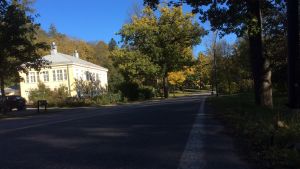 Fiskars har träd som uppskattas vara 400 år gamla. Vägen i Fiskars bruk, det gamla Wärdshuset till vänster, höst och sol.