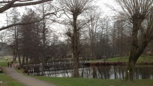 Trädbeståndet i Billnäs bruk ska bli som i grannbruket i Fiskars. Fiskars i Raseborg.