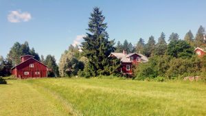 Gården är en tidigare lantgård som funnits i Nora Garusis släkt i 150 år. En gammal lantgård med en åker framför.