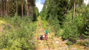 Henric Öhman cyklar dressin längs inlandsbanan Henric Öhman cyklar dressin längs inlandsbanan