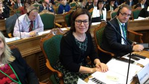 Britt Lundberg är åländska Centerns gruppledare. Britt Lundberg i Nordiska rådet