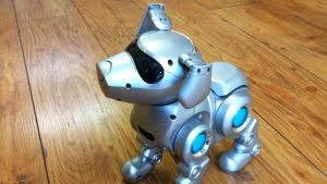 Sparka inte din robothund, det gör dig sakta känslolös Hundroboten Tekno