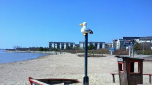 Övervakningen på stadens badstränder kommer att minska i och med besparingarna - i praktiken betyder det att en badvakt kommer att vara på plats på stranden under en mindre del av dagen. Torsnäs badstrand i Hertonäs i Helsingfors.