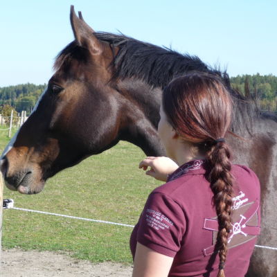 Bild av en flicka med ryggen vänd mot kameran. Hon klappar en brun häst.