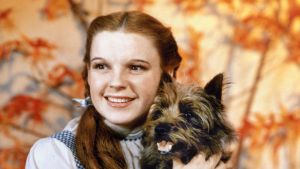 Judy Garland som Dorothy och hunden Toto i filmen Wizard of Oz. Närbild på Dorothy (Judy Garland) som sitter med hunden Toto i famnen.
