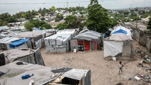 Många haitier bor fortfarande i tillfälliga ruckel i bristande hygieniska förhållanden, sex år efter den förödande jordbävningen. Fattigdomen bidrar till spridningen av zika-viruset. Många haitier bor fortfarande i tillfälliga ruckel i bristande hygieniska förhållanden, sex år efter den förödande jordbävningen. Fattigdomen bidrar till spridningen av zika-viruset.