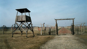 Bild från koncentrationslägret i Auschwitz.