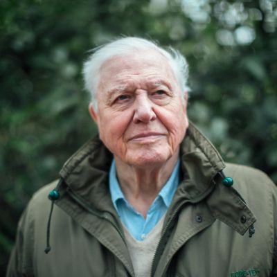 Sir David Attenborough selvittää, miten ilmastonmuutos vaikuttaa ja mitä sitä pitää torjua.