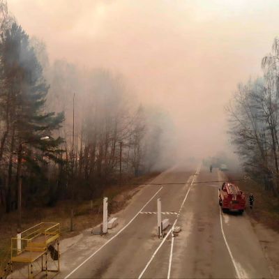 Skogsbränder nära tjernobyl