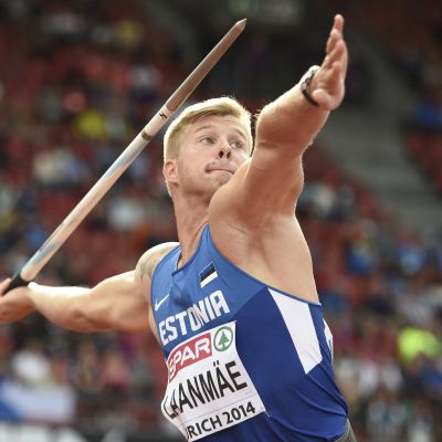 Tanel Laanmäe kuva 2014