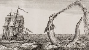 Ur boken The great Sea Serpent av Christian Jochum Pontoppidan. Boken gavs ut i slutet av 1700-talet. Ett stort, gammalt segelfartyg med stor korsflagga seglar förbi ett långsmalt sjöodjur. Ur boken The great Sea Serpent av Christian Jochum Pontoppidan (1739-1807).