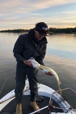 Jimmy Nyman med en nyuppdragen gädda på cirka 75 centimeter. I catch and release vägs inte gäddorna, istället fokuserar sportfiskarna på längden. Sportfiskaren Jimmy Nyman håller en gädda.