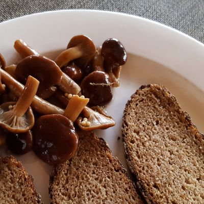 Marinoituja kangasrouskuja lautasella.