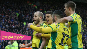 Teemu Pukki och gänget firar ett mål.