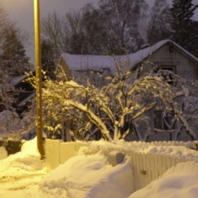 Luminen maisema omakotitaloalueelta Tapanilasta.