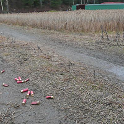 Haulikon tyhjiä hylsyjä peltotiellä.
