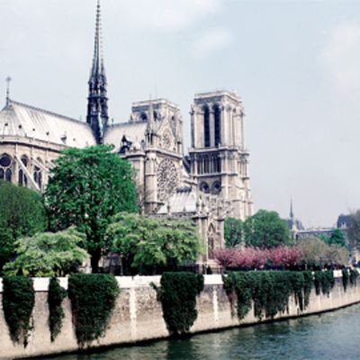 Notre-Damen katedraali.