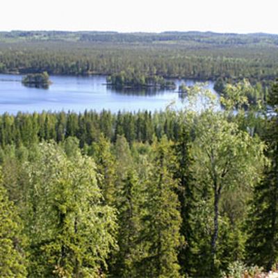 Metsämaisemaa järvineen