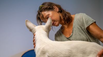 En kvinna håller i en hund som står på en bänk.
