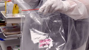 En person med plasthandskar på sig sätter ett provrör in i en plastpåse. På en lapp står det "covid-19-epäilty".