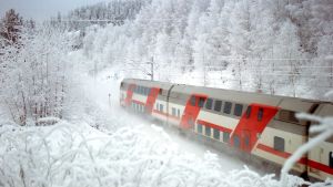 Kallt vinterväder och snö är besvärligt för tågtrafiken. Ett röd-vitt modernt tåg i snöigt vinterlandskap.