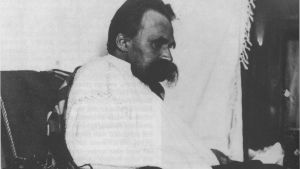 Efter sitt sammanbrott togs Nietzsche hand om av sin mor och senare syster, som tillrättalade hans tankar efter egna anspråk Foto på Friedrich Nietzsche