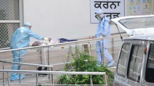 Indien slog nytt dagligt världsrekord vad gäller coronafall. Åtminstone 63 000 smittade har avlidit, vilket är tredje mest i världen. Indien slog nytt dagligt världsrekord vad gäller coronafall. Åtminstone 63 000 smittade har avlidit, vilket är tredje mest i världen.