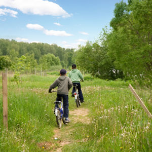 Två pojkar cyklar på en stig ute på landet.