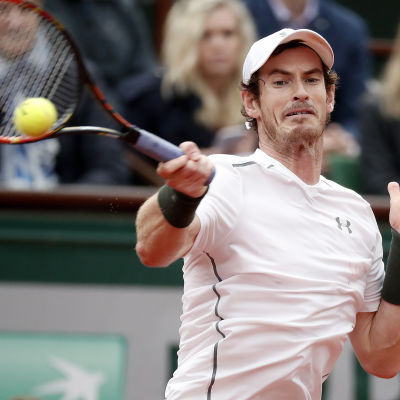 Andy Murray till semifinal i Paris.