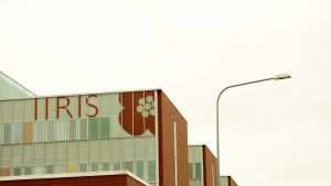 Heidi Hildén jobbade med barnrehabilitering på Synskadades Centralförbund i Helsingfors Östra centrum