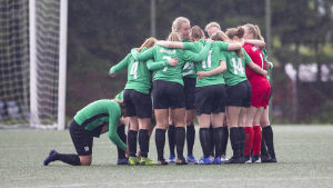 Tikkurilan Palloseura 2019.