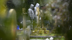 Poliser i skyddsdräkter arbetade på begravningsplatsen i Salisbury också på lördagen 10.3.2018. Poliser i skyddsdräkter arbetade på begravningsplatsen i Salisbury också på lördagen 10.3.2018.